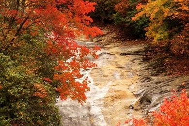 Blue Ridge Parkway, North Carolina, Autumn HD Desktop Wallpapers ...