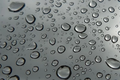 IWallpapers   Popular iPad Water Droplets Backgrounds