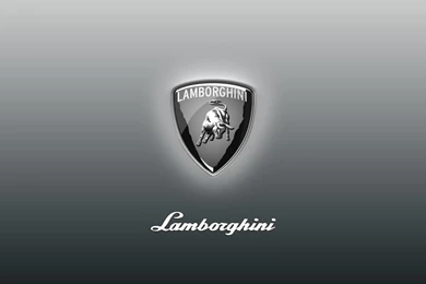 Photography   Page 187