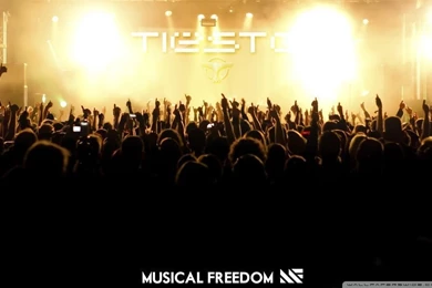 Tiesto Concert & Musical Freedom HD Desktop Wallpapers : Fullscreen ...