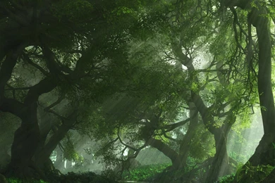 Wallpapers 3d Wallpapers Animated Nature Wallpaper Backgrounds ...