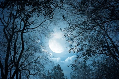 Full Moon Desktop Wallpaper, Full Moon Backgrounds