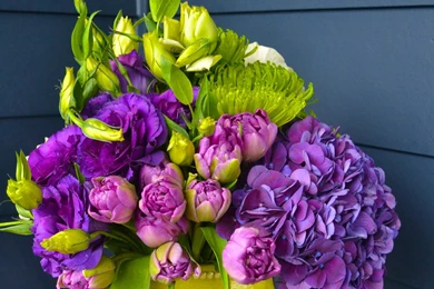 Bouquets Hydrangea Tulips Roses Chrysanthemums Eustoma Flowers ...