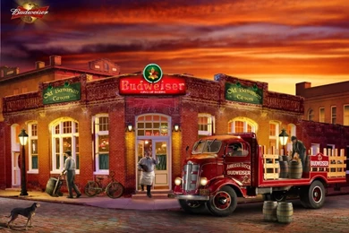 Budweiser Wallpapers