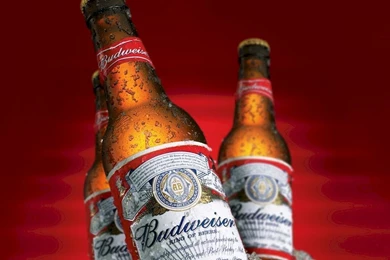 Budweiser iPad 1024 X 1024 Wallpapers Logos / Brands Wallpapers