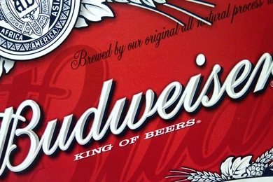 Budweiser Wallpapers High Quality