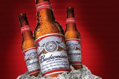 Ice Cold Budweiser   HD Wallpapers