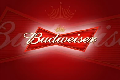 BUDWEISER BACHELOR PARTY
