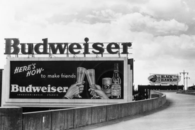 Budweiser Beers Signs Wallpapers   (