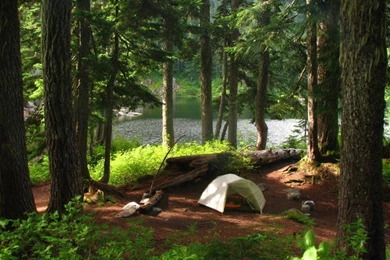 Types Of Camping – Treadin' Trodden Trails