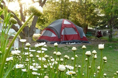 Spring Break Wallpapers   Crazy Frankenstein