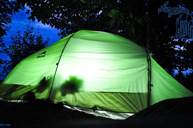 Downloads   Awesome Mitten