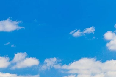 Free iPhone Wallpapers Roundup: 10 Summer Inspired iPhone ...