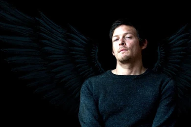 Reedus Rebels International — Galadhfea: Norman Reedus Desktop ...