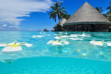 Nature Exotic Beach Tropical Island Wallpapers   Wallpapers Mela