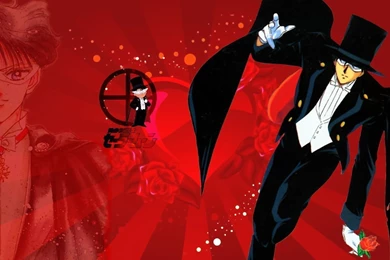 Guardian Tuxedo Mask   Sailor Moon Wallpapers (12993936)   Fanpop