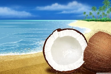 Exotic Coconut On The Beach HD Desktop Wallpapers : Widescreen ...