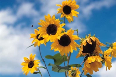 2015 10 03   Page 218