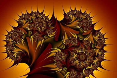 Exotic Hd Wallpapers Fractal By E designer On DeviantArt