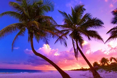 Exotic Beaches HD Pictures