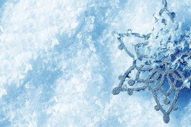 Top Snowflake Hd Wallpaper Images For Pinterest