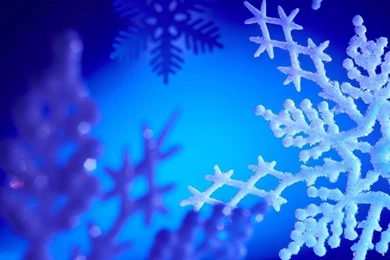 Blue Snowflake Backgrounds Wallpapers   96179