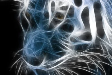 35+ Stunning Fresh HD iPhone Wallpapers