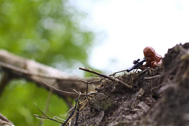 LEGO Star Wars Wallpapers Gallery