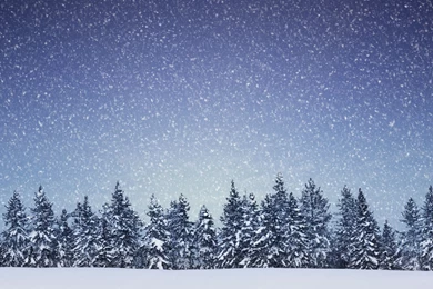 Snowing Wallpapers