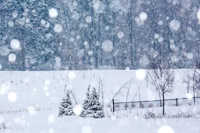 Winter Snowing HD Desktop Wallpapers : Widescreen : Fullscreen ...