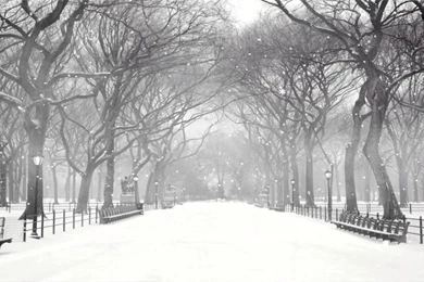 Winter Snow Screensaver 2 0   YouTube