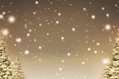 Winter Forest Path Snowing iPhone 5s Wallpapers Download