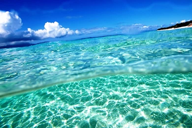 Free Summer Screensavers And Wallpapers Nature Photos Of Free ...