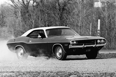 MUSCLE CARS WALLPAPER WALF1079