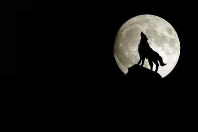 Moon Silhouette Wallpapers