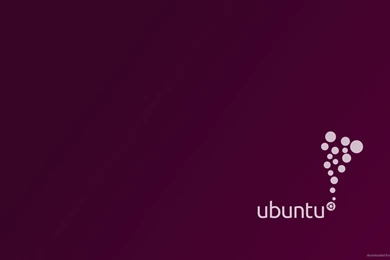 Brands & Logos HD Desktop Mobile Wallpaper Backgrounds   9walls