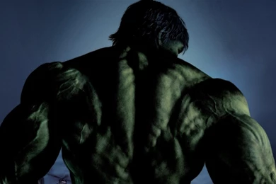 Hulk Avengers Full Body   Wallpaper.