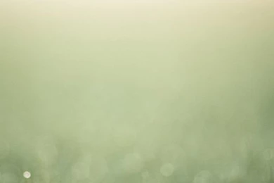 The Best Blurry Wallpapers For iPhone And IPod Touch