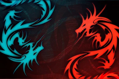 Dark Dragon Wallpapers