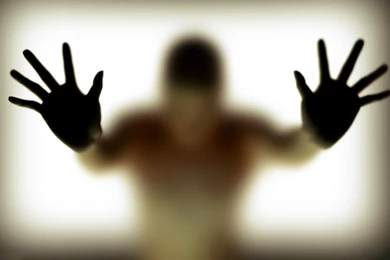 Stag Head Silhouette Wallpapers 1920x1200   ImgMob