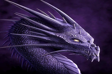 Dragon Wallpapers 1080p