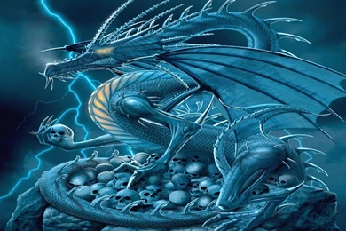 Cool Blue Dragon Wallpapers Animal Backgrounds