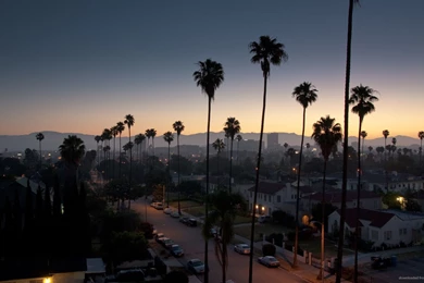 Los Angeles Suuburban Morning Wallpapers For Samsung Galaxy Tab