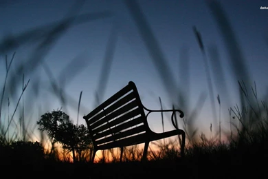Bench Silhouette In The Evening Wallpapers   Photography Wallpapers ...