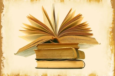 Book Wallpapers 2015   Grasscloth Wallpapers