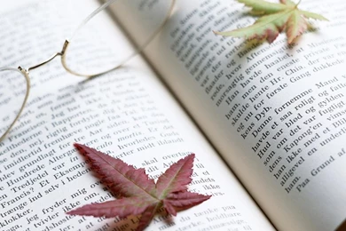 YouWall   Leaves Over The Book Wallpapers   Wallpaper,wallpapers ...