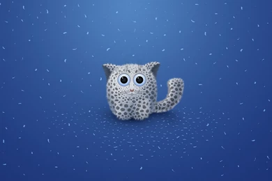 Top Cool Cat Desktop Wallpaper Images For Pinterest