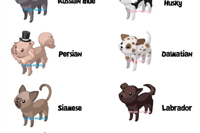 Admin, Author At Gallsource.com Page 1544 Of 1763