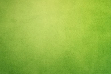 Green Backgrounds iPhone 5s Wallpapers Download