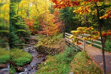 Fall Season Wallpapers For Desktop